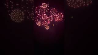 8” Display Thousand Magenta Flowers