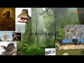 Vidéo Présentation Chaine 2 Vidéo Présentation Chaine 2