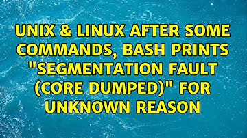 After some commands, bash prints "Segmentation Fault (core dumped)" for unknown reason
