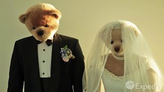 Teddy Bear Museum - City Video Guide