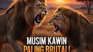 Musim Kawin Singa Perebutan Tahta Darah Dan Keturunan