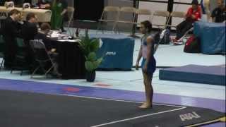 FX Alexander Kramer 12.850 Level 9 (12-13) 2012 Texas State Championships