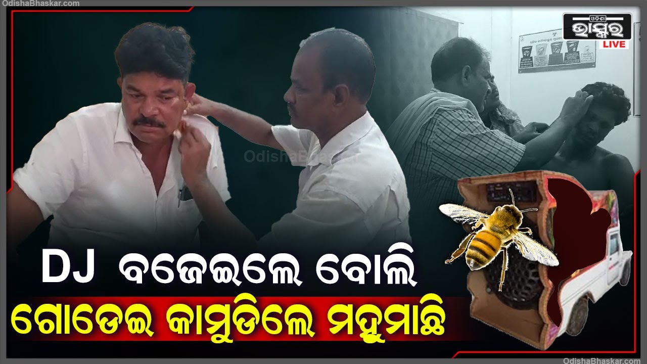 ପ୍ରଚାର ବେଳେ ଡିଜେ ଶବ୍ଦ ଶୁଣି ଗୋଡେଇ ଗୋଡେଇ କାମୁଡିଲେ ମହୁମାଛି, ଆହତ ବିଜେଡି ନେତା ଓ କର୍ମୀ ମେଡିକାଲରେ ଭର୍ତ୍ତି