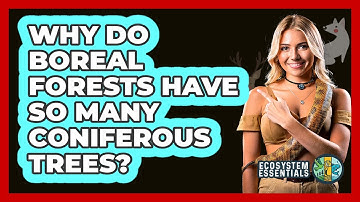 Why Do Boreal Forests Have So Many Coniferous Trees? - Ecosystem Essentials