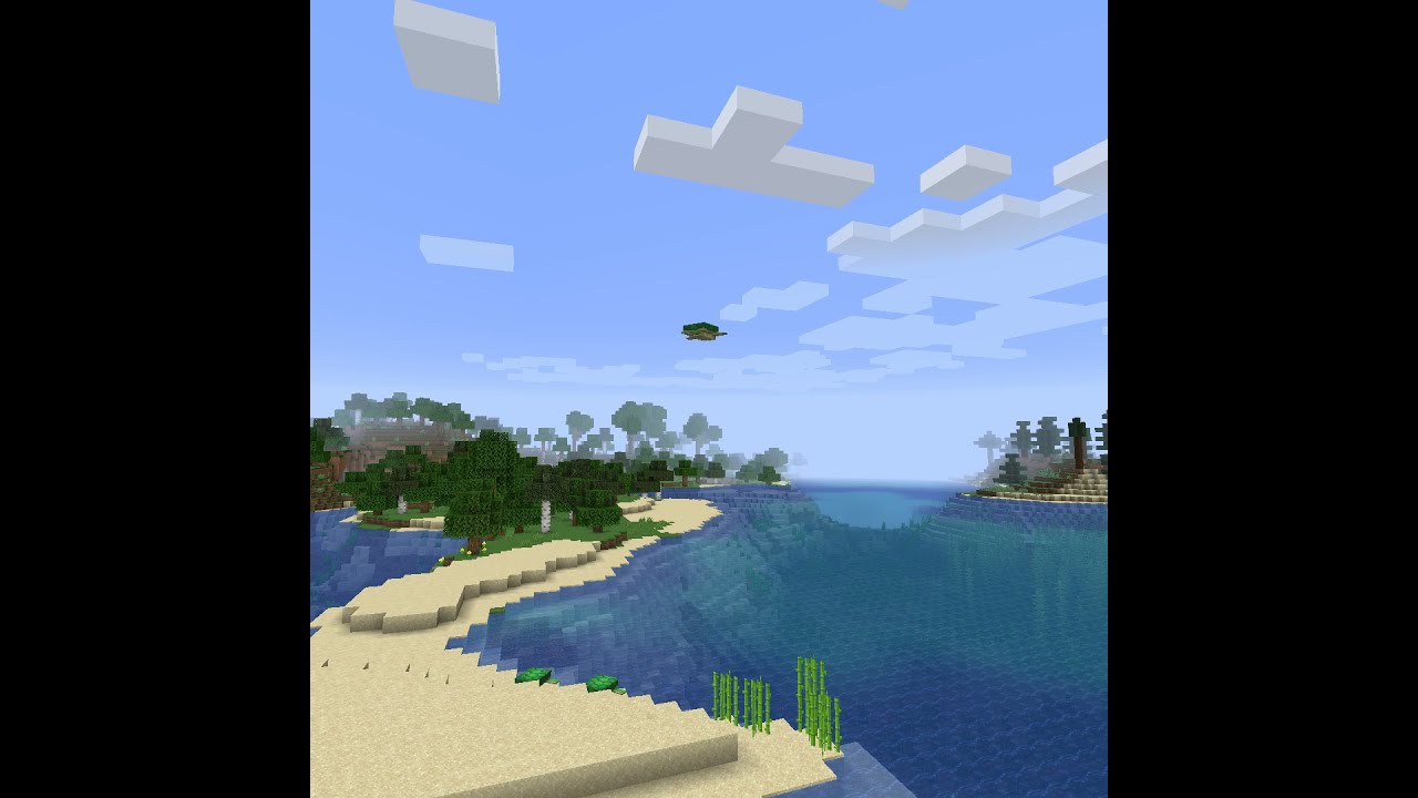 Who Has Ever Seen A Turtle Fly