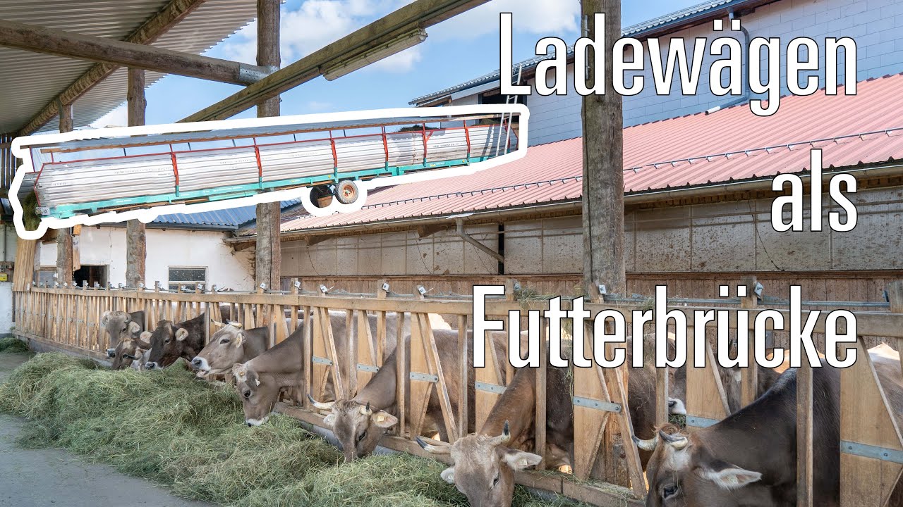 Cooles Ladewagen-Recycling: Schüler bauen eine Futterbrücke!