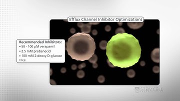 Optimization of ALDEFLUOR™ Protocol