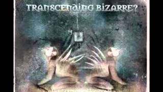 Watch Transcending Bizarre Irreversible video