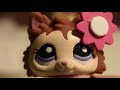 Beginning of video