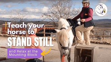 How to Teach Your Horse to Stand Still and Relax at the Mounting Block