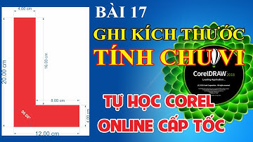 Tự học Corel Bài 17: Đo kích thước và Chu vi của đối tượng trong corel | S.Desgin - Tự học đồ họa
