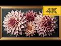 4K TV WALLPAPER Elegant Dahlia Blossoms | Classic Luxury Floral Wall Art