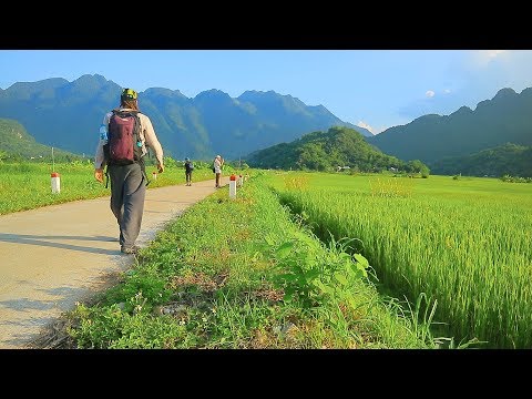 Video: Qué hacer en Mai Chau, Vietnam