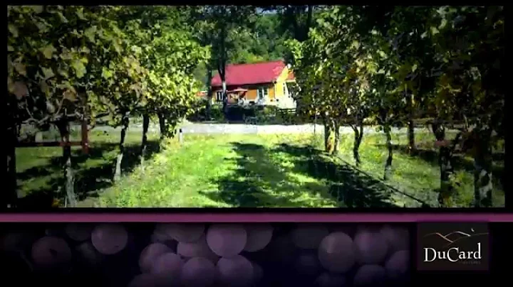 Meet Scott Elliff of DuCard Vineyards