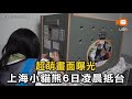 上海小貓熊6日凌晨抵台 超萌畫面曝光
