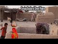 Evening Routine of Desert Women Part-1 || Natural Life || Traditional cooking of Desert People