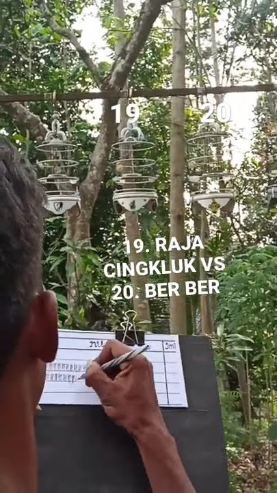 FINAL SERU KECIAL KUNING ' RAJA CINGKLUK VS BER BER'