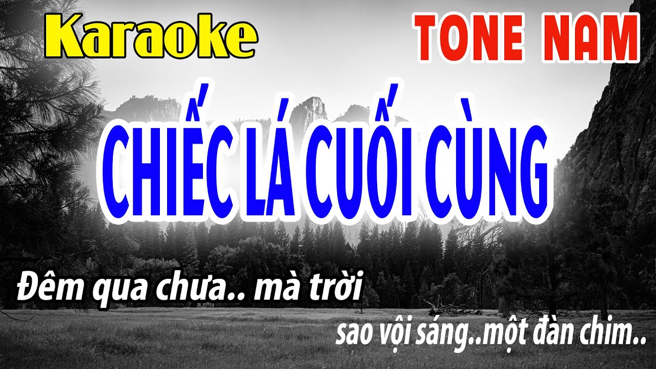 Chiếc Lá Cuối Cùng - Karaoke Tone Nam ( Am ) Đời Sống Và Âm Nhạc - Beat Mới Dễ Hát