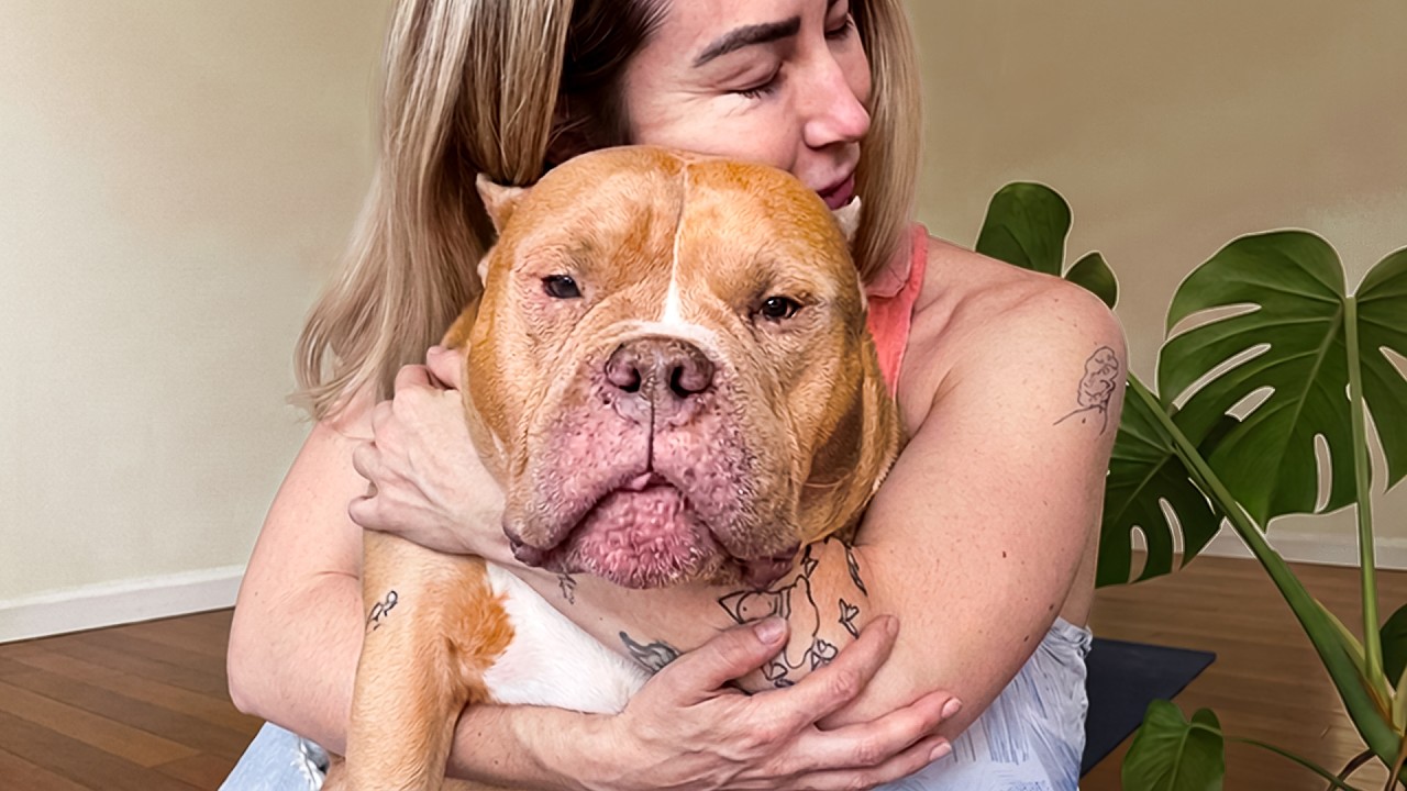 She Fostered a Shelter Pit Bull… Then Her Life Fell Apart