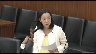 派遣法の問題 吉良よし子議員の質問 吉良佳子 検索動画18 派遣法の問題 吉良よし子議員の質問 吉良佳子 検索動画 18