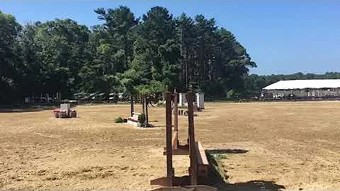 Stella & Floyd - GFF Hunter Derby - Handy round