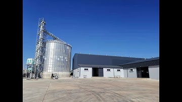 High quality Maize Meal by Maize milling machines Produced