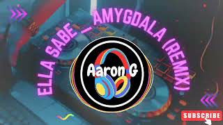 ELLA SABE   AMYGDALA (REMIX)