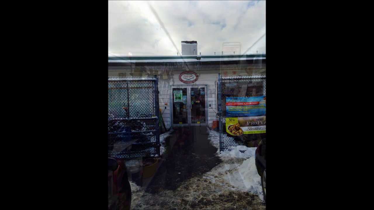 Durham Farmers County Coop of Orono Ontario YouTube
