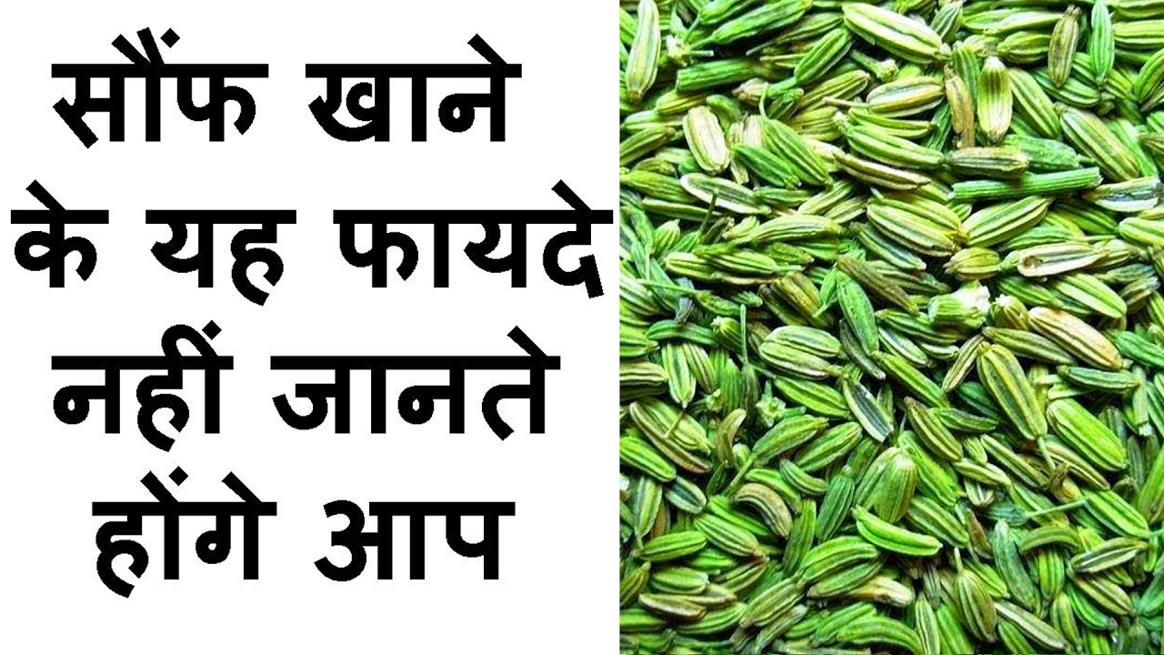 सौंफ खाने के यह फायदे नहीं जानते होंगे आप Health Benefits of Fennel