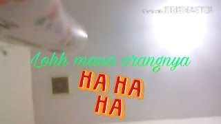 Tipe Tipe Squishy Collector