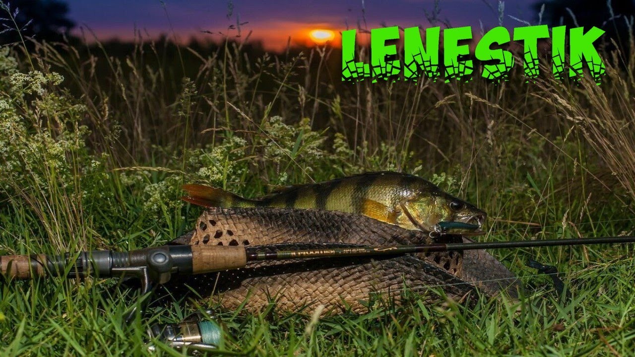 Охота на Черта | Русская Рыбалка 4 | РЫБАЛКА | СТРИМ | 🎮185 - YouTube