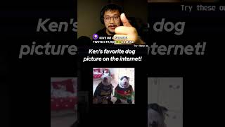Ken's favorite dog picture on the internet #funny #twitch #streamer #viral #fyp