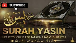 surah all yaseen incredible and emotional recitation off the holy quran