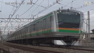 上野東京ラインE233系E65編成+E231系横コツ編成10両藤沢~JT07大船間【RG627】
