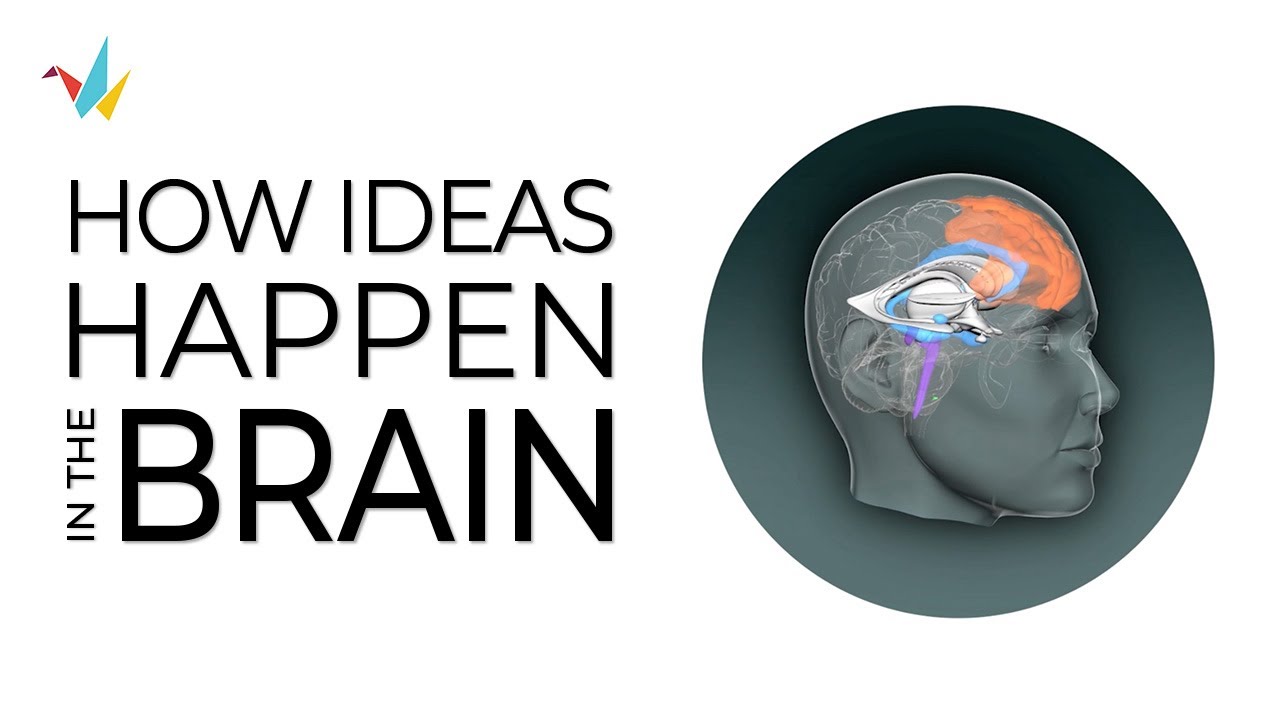 Do You Generate New Brain Cells