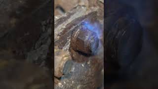 how to open rusted nut bolt #tech #tricks #trending