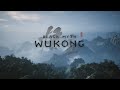 Black Myth: Wukong - Tiger Vanguard (no damage?)