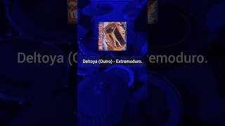 "A empezar deltoya... "Extremoduro - Deltoya (Outro) [Drum cover] #drumcover #drums #extremoduro