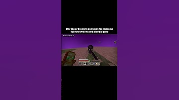 Day 153. #end #minecraft