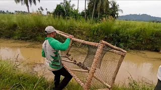 Download Lagu #EP1344 Buat Bubu dan Tahan di Taliair | Memancing Lampam MP3 Download Lagu #EP1344 Buat Bubu dan Tahan di Taliair | Memancing Lampam MP3