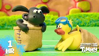 ✨ TIMMY TIME: FUN ENGLISH CLASS! | 1 HOUR COMPILATION | KIDS SHOW
