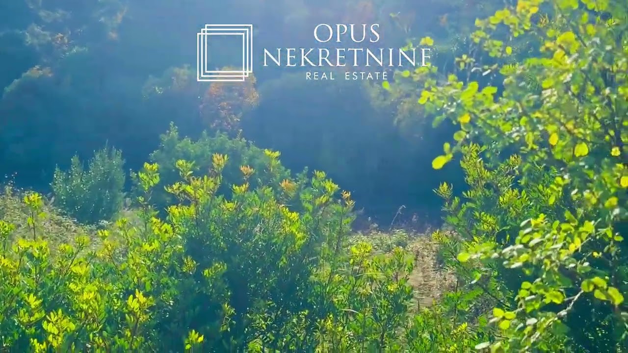 ZULJANA, Peljesac - poljoprivredno zemljiste 2284 m2 - OPUS NEKRETNINE