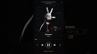 Kaaris - Octogone