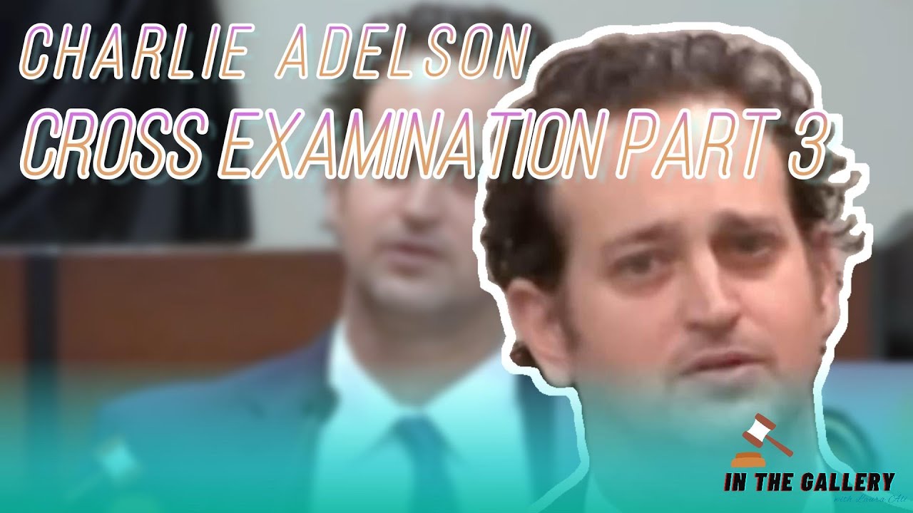 Charlie Adelson - Trial Review & Analysis - Cross Examination Part 3 ...
