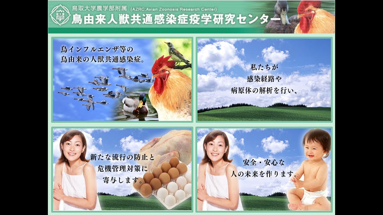 鳥取大学共同獣医学科