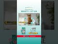 「ピュリナ ワン」健康免疫サポートおやつ① 6秒Ver.