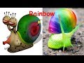 Larva in REAL LIFE!