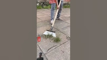 xẻng chuyên dụng hot đất làm vườn