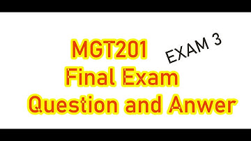 MGT201 Final exam Questions live attempt Exam 3