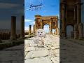 Timgad|Algeria(ティムガッド|アルジェリア)